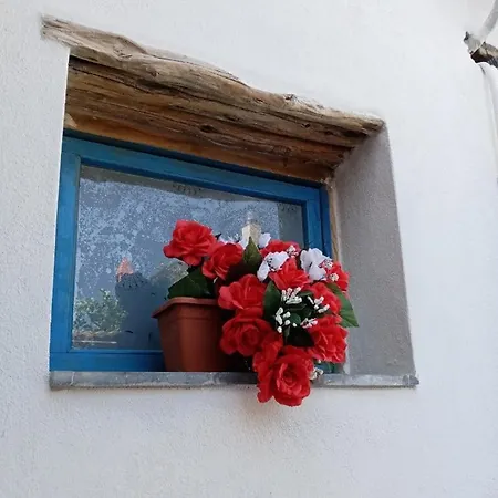 Проживание в семье Casa Pili